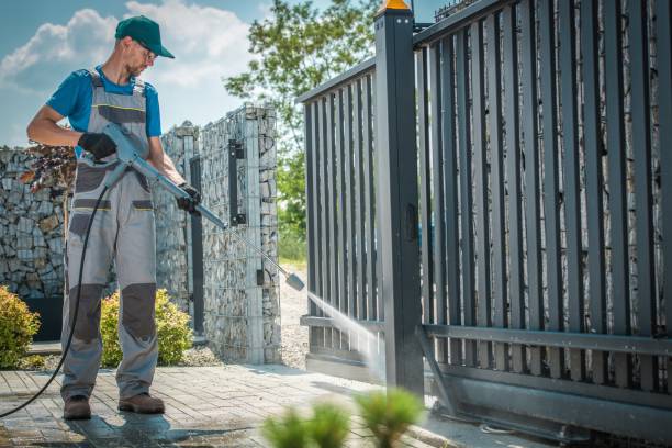 Best Rust Removal  in Presquille, LA
